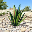 Agave Aura Light – Elegant Home Accent for Modern Interiors