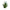 Agave Aura Light – Elegant Home Accent for Modern Interiors