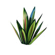 Agave Aura Light – Elegant Home Accent for Modern Interiors