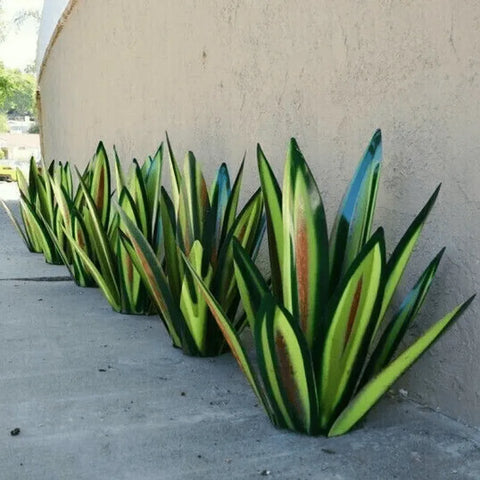 Agave Aura Light – Elegant Home Accent for Modern Interiors