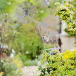 Dandelion Glow Dance – Enchanting Garden Light for Magical Evenings