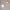 Dual-Space Light – Elegant Illumination for Home and Garden