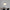 Glass Charm Ceiling Light – Golden Luxury Accent for Modern Interiors