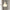 Glass Charm Ceiling Light – Golden Luxury Accent for Modern Interiors
