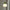 Glass Charm Ceiling Light – Golden Luxury Accent for Modern Interiors