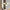 Glass Charm Ceiling Light – Golden Luxury Accent for Modern Interiors