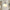 Glass Charm Ceiling Light – Golden Luxury Accent for Modern Interiors