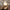 Glass Charm Ceiling Light – Golden Luxury Accent for Modern Interiors