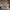 Glass Charm Ceiling Light – Golden Luxury Accent for Modern Interiors