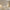 Glass Charm Ceiling Light – Golden Luxury Accent for Modern Interiors