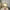 Glass Charm Ceiling Light – Golden Luxury Accent for Modern Interiors