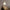 Glass Charm Ceiling Light – Golden Luxury Accent for Modern Interiors