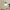 Glass Charm Ceiling Light – Golden Luxury Accent for Modern Interiors