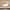 Minimalist Ceiling Fixture – Elegant Harmony of Light for Contemporary Homes