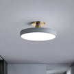 Minimalist Ceiling Fixture – Elegant Harmony of Light for Contemporary Homes
