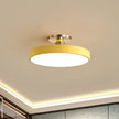Minimalist Ceiling Fixture – Elegant Harmony of Light for Contemporary Homes