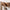 Modern Wooden Wall Rack – Stylish Foldable Hooks for Entryway Storage