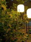 Natural Garden Glow – Elegant Lighting to Illuminate Outdoor Spaces
