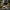 Smart Outdoor Light – Contemporary Illumination for Terrace and Garden